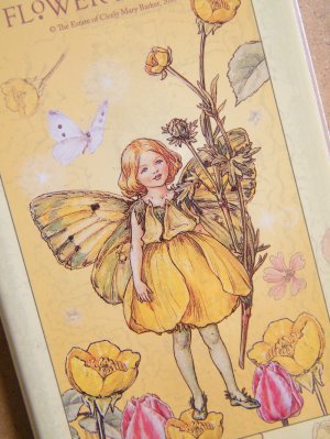 Korean Flower Fairies Any Year Slim  Diary Scheduler Planner - Buttercup Fairy