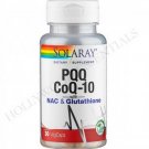 PQQ, CoQ10, NAC, Glutathione Skin Whitening Pills - HOLLYWOOD ESSENTIALS® (Germany)