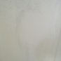 Soap Scum, rust, grease, mold in a shower stall
