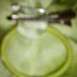 NWT Flower Corsage, Pin, Clip Pony Tail Holder Soft Lime