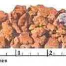 DOG DOGS FLINT RIVER RANCH PUPPY & ADULT FOOD 20 LBS