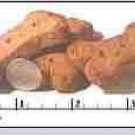 DOG DOGS FLINT RIVER RANCH BONE SHAPED TREATS 20 LBS