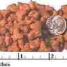 FLINT RIVER RANCH CAT CATS KITTEN & ADULT 9 LBS