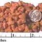 FLINT RIVER RANCH CAT CATS KITTEN & ADULT 20 LBS