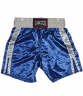 Cansco Large Satin Boxing Trunks Blue/Gray
