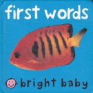 First Words Bright Baby Book