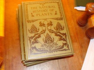 The Natural History Of Plants