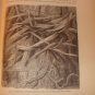 The Natural History Of Plants