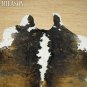 COWHIDE HAIR-ON LEATHER COWHIDE THROW RUG CARPET 027