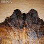 COWHIDE HAIR-ON LEATHER COWHIDE THROW RUG CARPET 033