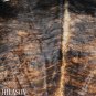 COWHIDE HAIR-ON LEATHER COWHIDE THROW RUG CARPET 041