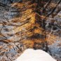 COWHIDE HAIR-ON LEATHER COWHIDE THROW RUG CARPET 051