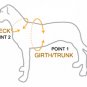 GENUINE LEATHER DOG HARNESS WITH LEASH - SMALL