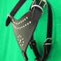 Genuine Leather Dog Harness With Leash - MED