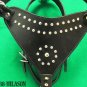 Genuine Leather Dog Harness With Leash - LRG