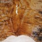 512 COWHIDE HAIR-ON LEATHER COWHIDE THROW RUG CARPET