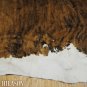 512 COWHIDE HAIR-ON LEATHER COWHIDE THROW RUG CARPET