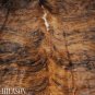 455 COWHIDE HAIR-ON LEATHER COWHIDE THROW RUG CARPET