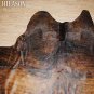 461 COWHIDE HAIR-ON LEATHER COWHIDE THROW RUG CARPET