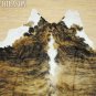 479 COWHIDE HAIR-ON LEATHER COWHIDE THROW RUG CARPET