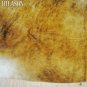 487 COWHIDE HAIR-ON LEATHER COWHIDE THROW RUG CARPET