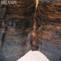 488 COWHIDE HAIR-ON LEATHER COWHIDE THROW RUG CARPET