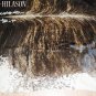 489 COWHIDE HAIR-ON LEATHER COWHIDE THROW RUG CARPET