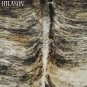 497 COWHIDE HAIR-ON LEATHER COWHIDE THROW RUG CARPET