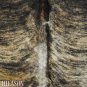 497 COWHIDE HAIR-ON LEATHER COWHIDE THROW RUG CARPET