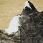 497 COWHIDE HAIR-ON LEATHER COWHIDE THROW RUG CARPET