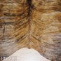 506 COWHIDE HAIR-ON LEATHER COWHIDE THROW RUG CARPET