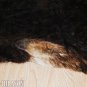 COWHIDE HAIR-ON LEATHER COWHIDE THROW RUG CARPET 021