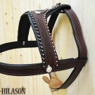 Dark Brown Leather Dog Padded Harness With Leash - SML