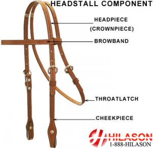 CUSTOM CONCHO SHOW BRIDLE HEADSTALL REINS WESTERN TACK