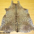 LEOPARD PRINT HAIR ON LEATHER COWHIDE RUG 37 sqft 001