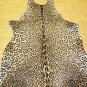 LEOPARD PRINT HAIR ON LEATHER COWHIDE RUG 37 sqft 001
