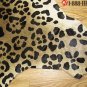 LEOPARD PRINT HAIR ON LEATHER COWHIDE RUG 37 sqft 001