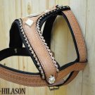 Tan Leather Dog Padded Harness With Leash - LRG