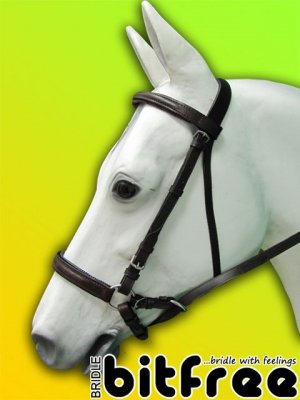 ENG BITLESS BRIDLE extremely comfortable draft size 014