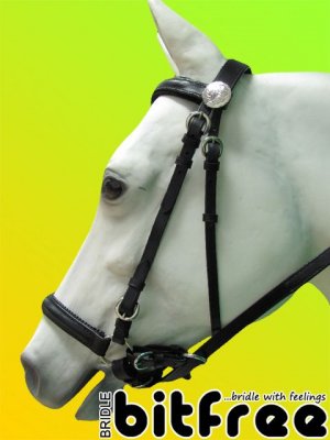 NEW BLACK BITLESS BRIDLE extremely comfortable #022