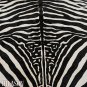 ZEBRA PRINT HAIR ON LEATHER BRAZILIAN COWHIDE RUG 493