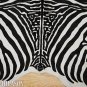 ZEBRA PRINT HAIR ON LEATHER BRAZILIAN COWHIDE RUG 494
