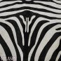 ZEBRA PRINT HAIR ON LEATHER BRAZILIAN COWHIDE RUG 503