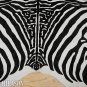 ZEBRA PRINT HAIR ON LEATHER BRAZILIAN COWHIDE RUG 508