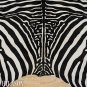 ZEBRA PRINT HAIR ON LEATHER BRAZILIAN COWHIDE RUG 509