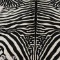 ZEBRA PRINT HAIR ON LEATHER BRAZILIAN COWHIDE RUG 509