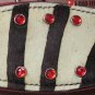 311 BRONC RODEO SHOW HORSE HALTER WITH CRYSTALS
