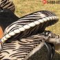 TT917 Flex-Tree Barrel Racing Trail Western Saddle 13