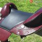 E113 Hilason Treeless Western Endurance Trail Saddle 13
