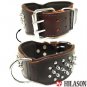 DC103 Brown Leather Spiked Studded Dog collar Sz- SML